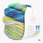 Preview: Laines du Nord - 6 Ply Paint Socks