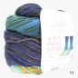 Preview: Laines du Nord - 6 Ply Paint Socks