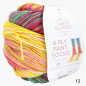 Preview: Laines du Nord - 6 Ply Paint Socks