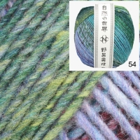 Unnamed option value