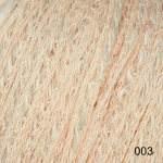 Unnamed option value