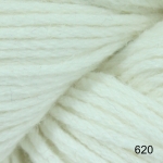 Unnamed option value