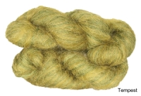 Tempest
