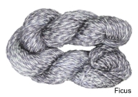 Ficus