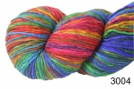 3004