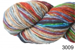 3009
