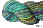 3012